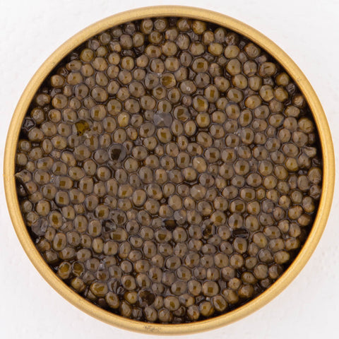 Beluga Sturgeon Caviar