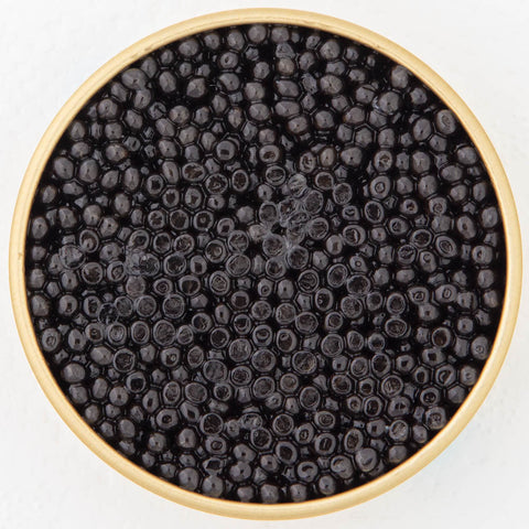 Caviar White Sturgeon