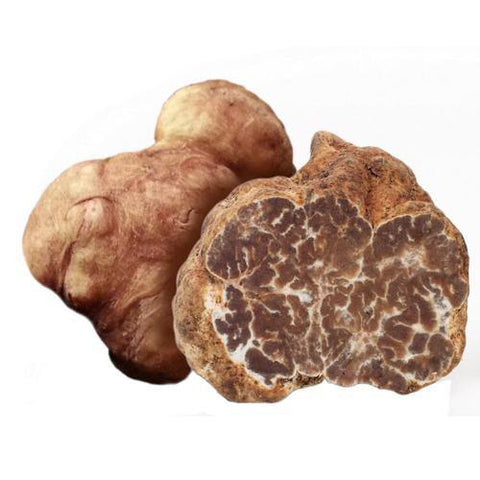 Vit vårtryffel -Tryffel Borchii/Bianchetto